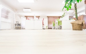 CSS_froringcsss1292500