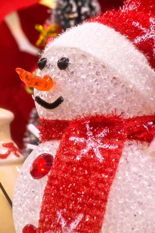 PPO_yukidarumanoningyou500