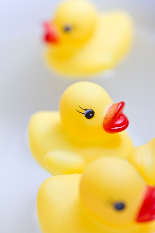 MKJ_suicyuniukuahirucyan500