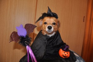 a6fdfa2625dd1431acac8233b85294eb_s