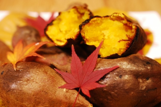 c924b454f78f30901b612973f1489909_s