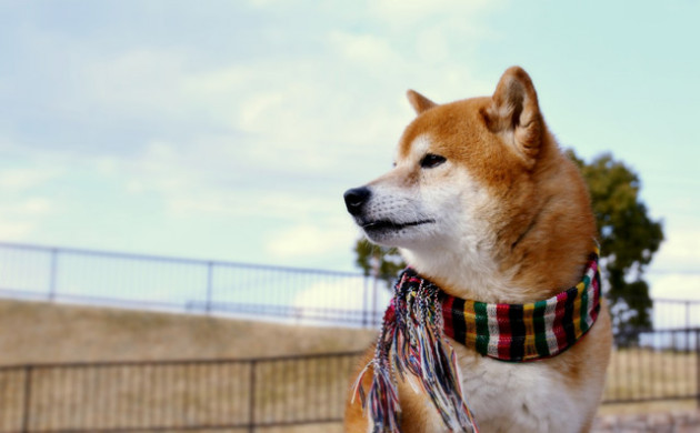 a382d52d07776d85c88bf3c352b85982_640