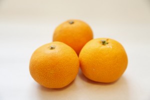 6fcf2d8f4ade5f36498c91920103eed3_s